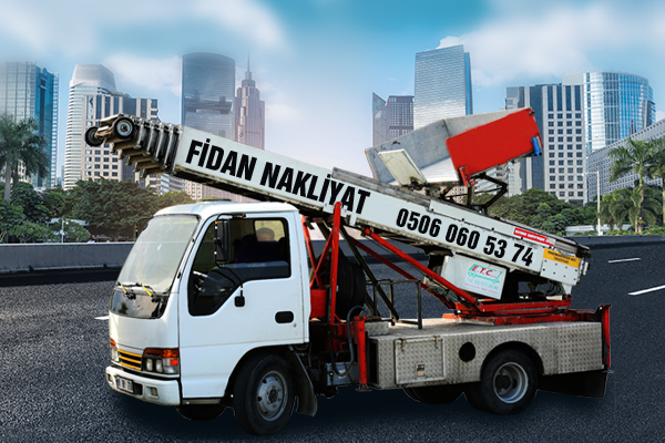 Adana Fidan Asansörlü Taşıma